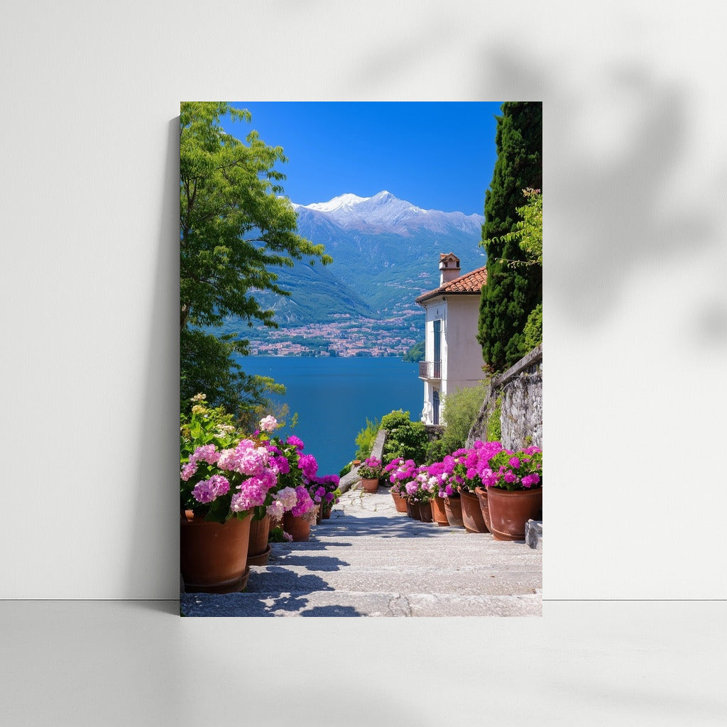 The Path to the Sunny Lake