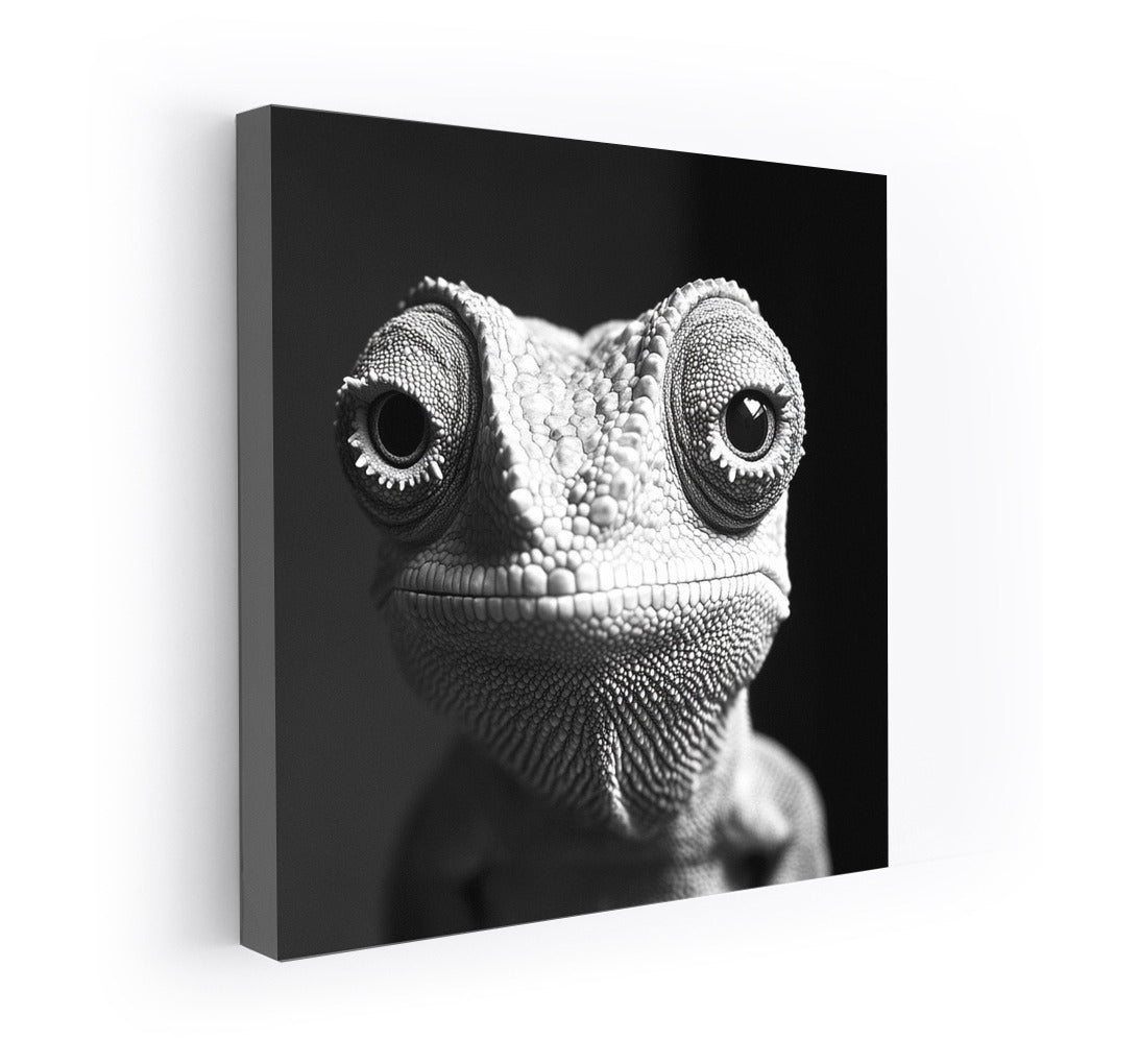 Secrets of the Chameleon: Black and White Elegy