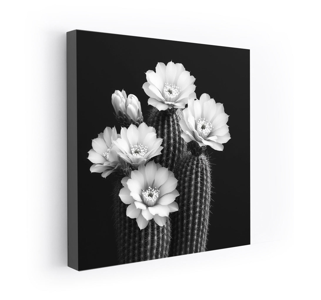 Tenderness of Prickly Petals