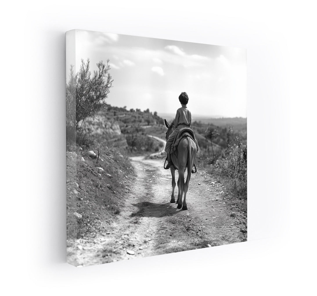 Silhouette of a Dream: A Rider's Journey