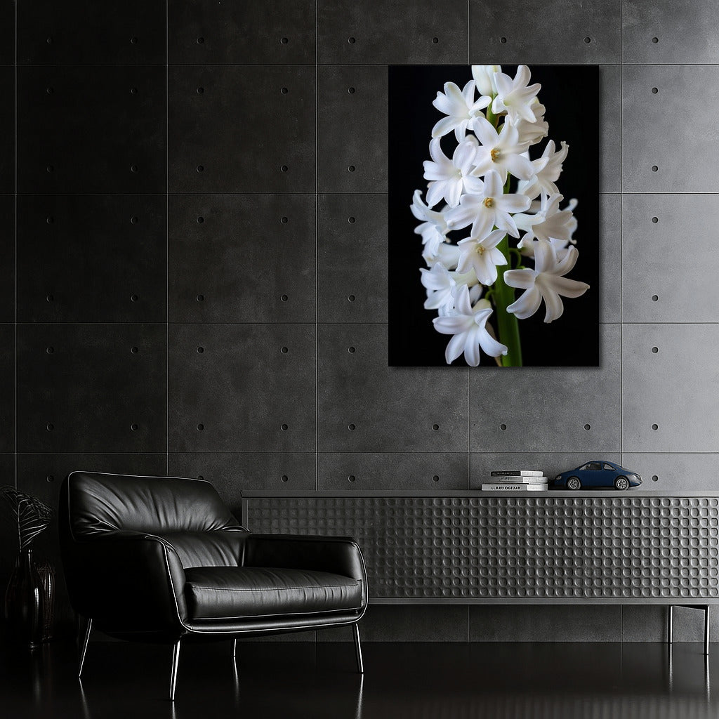 Snow White Hyacinth: Symphony of Freshness