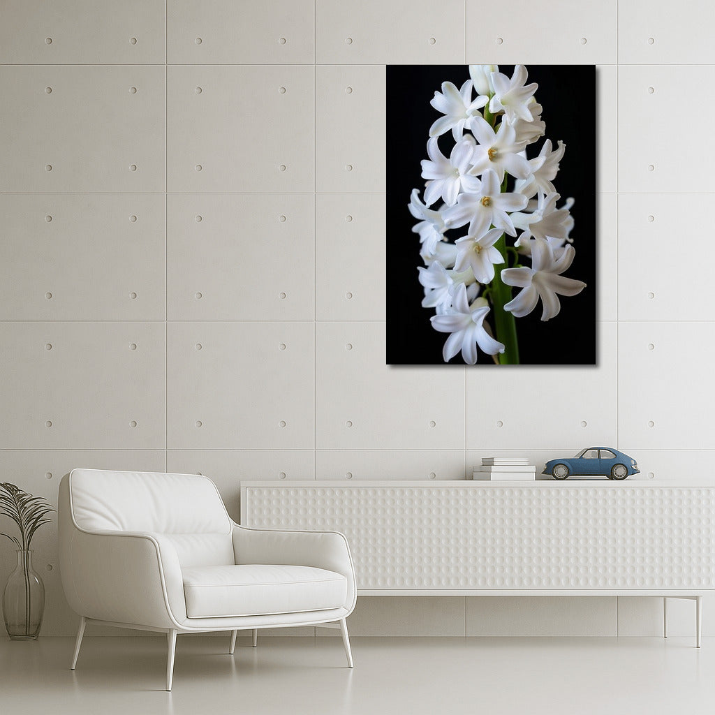 Snow White Hyacinth: Symphony of Freshness