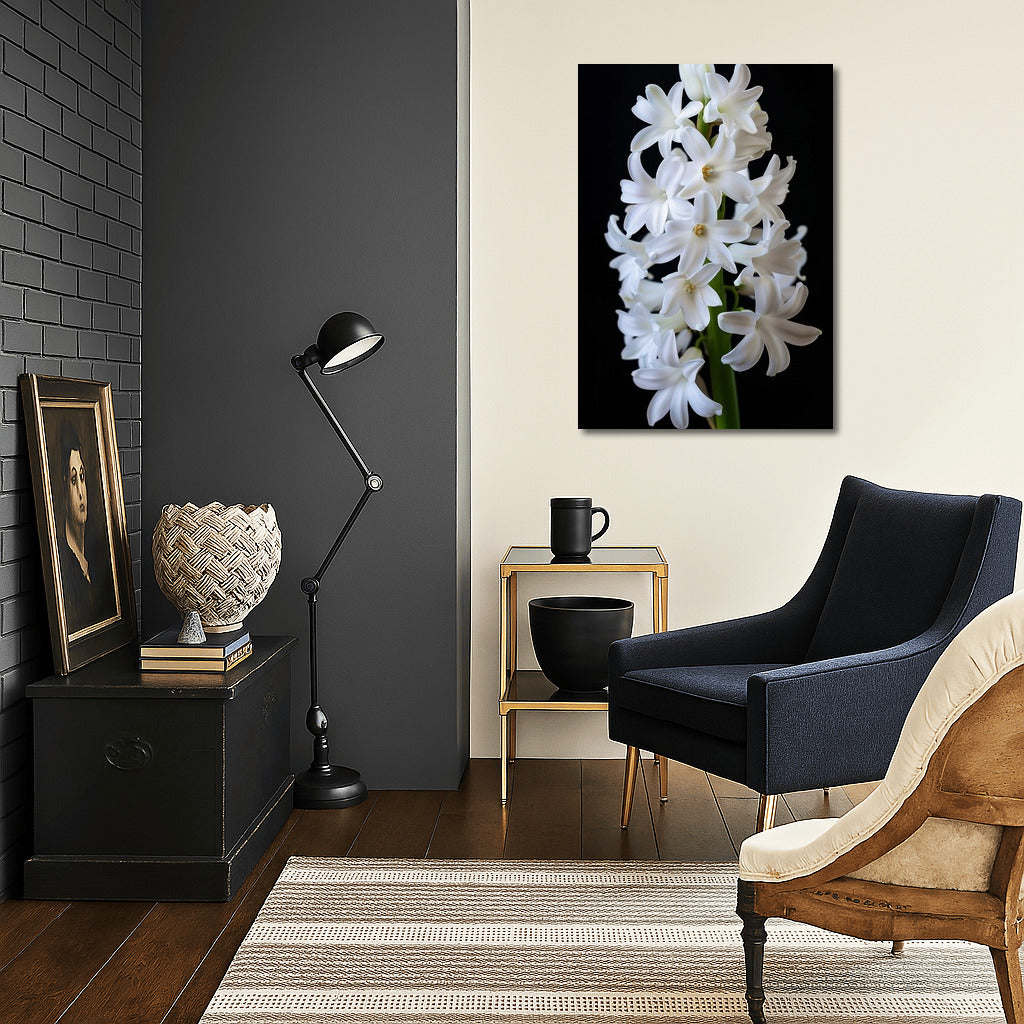 Snow White Hyacinth: Symphony of Freshness