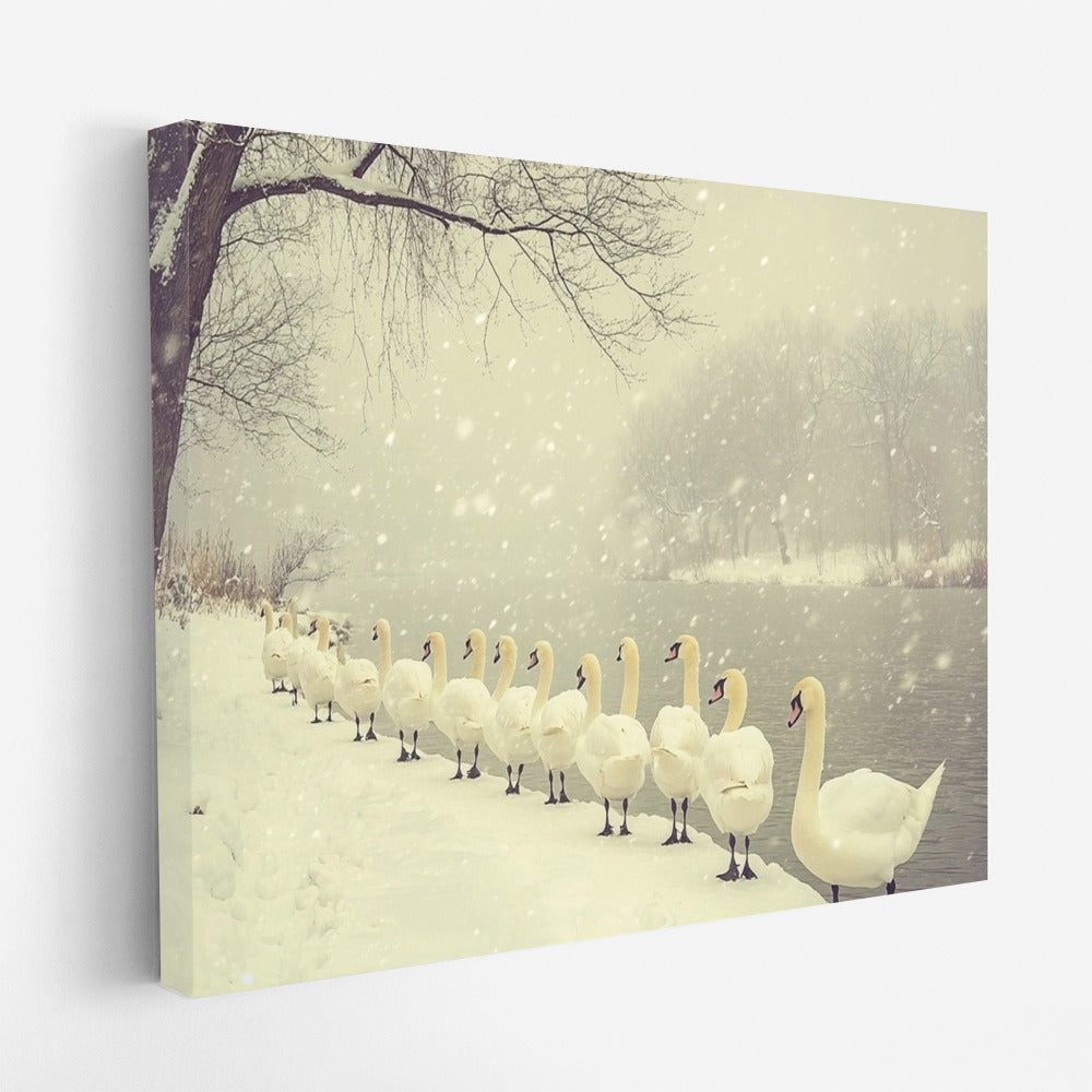 Snow Waltz of the Swans