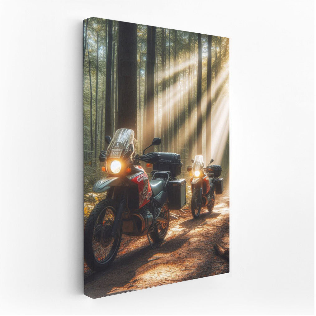 BMW Motorcycles on the Forest Trail: Adventure in the Sunbeams