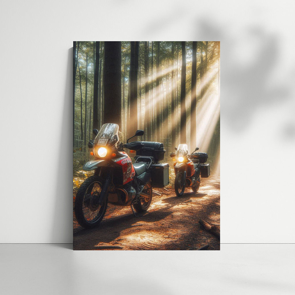 BMW Motorcycles on the Forest Trail: Adventure in the Sunbeams