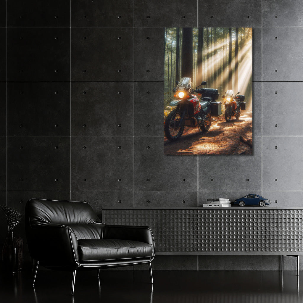 BMW Motorcycles on the Forest Trail: Adventure in the Sunbeams