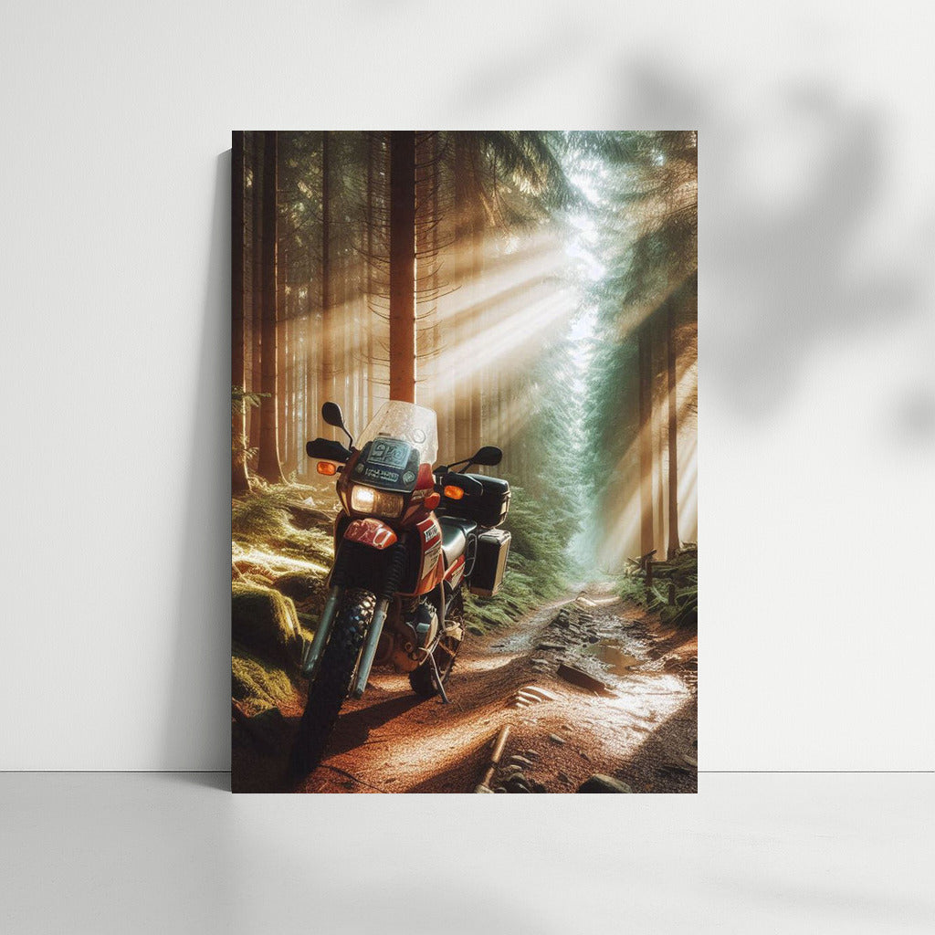 Motorcycle in the Forest Fairytale: Sunbeams on the Adventure Trail