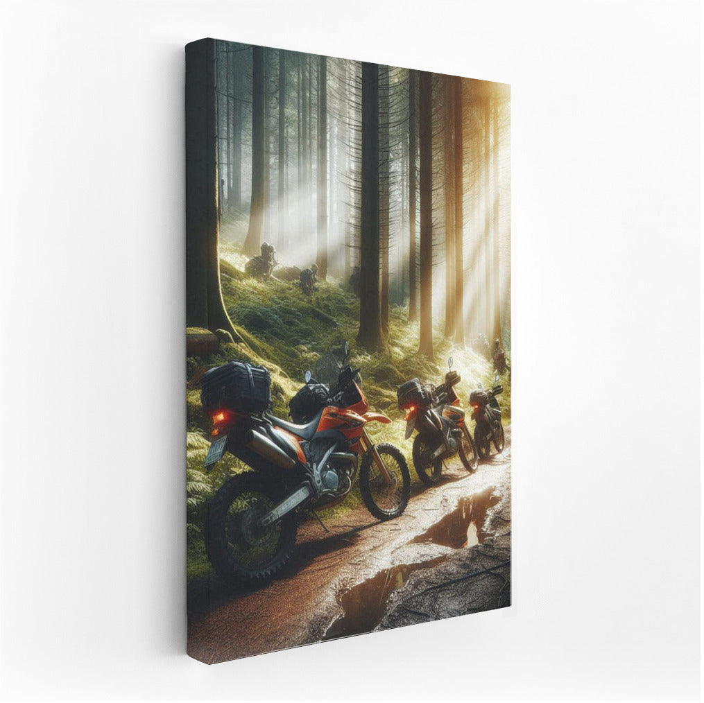 Forest Cruisers: Motorcycles on the Sunbeam Trail