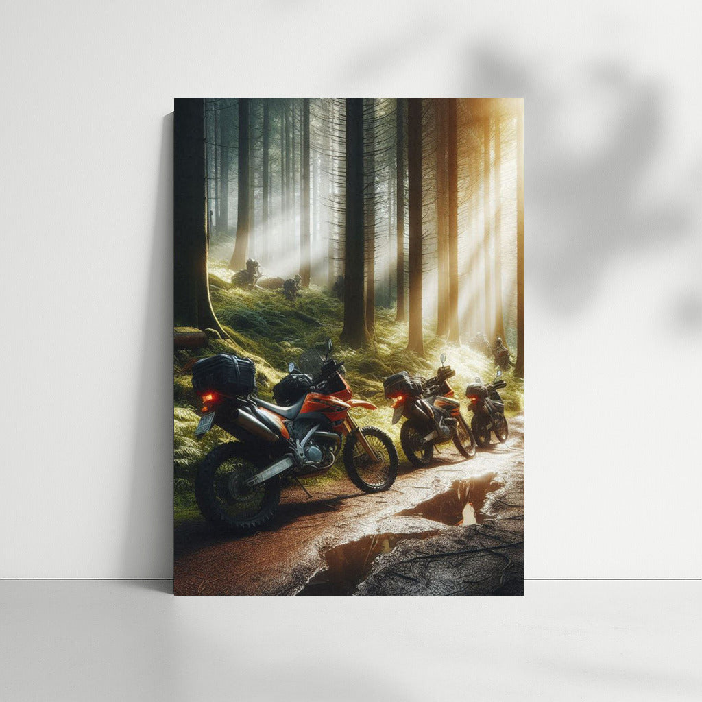 Forest Cruisers: Motorcycles on the Sunbeam Trail