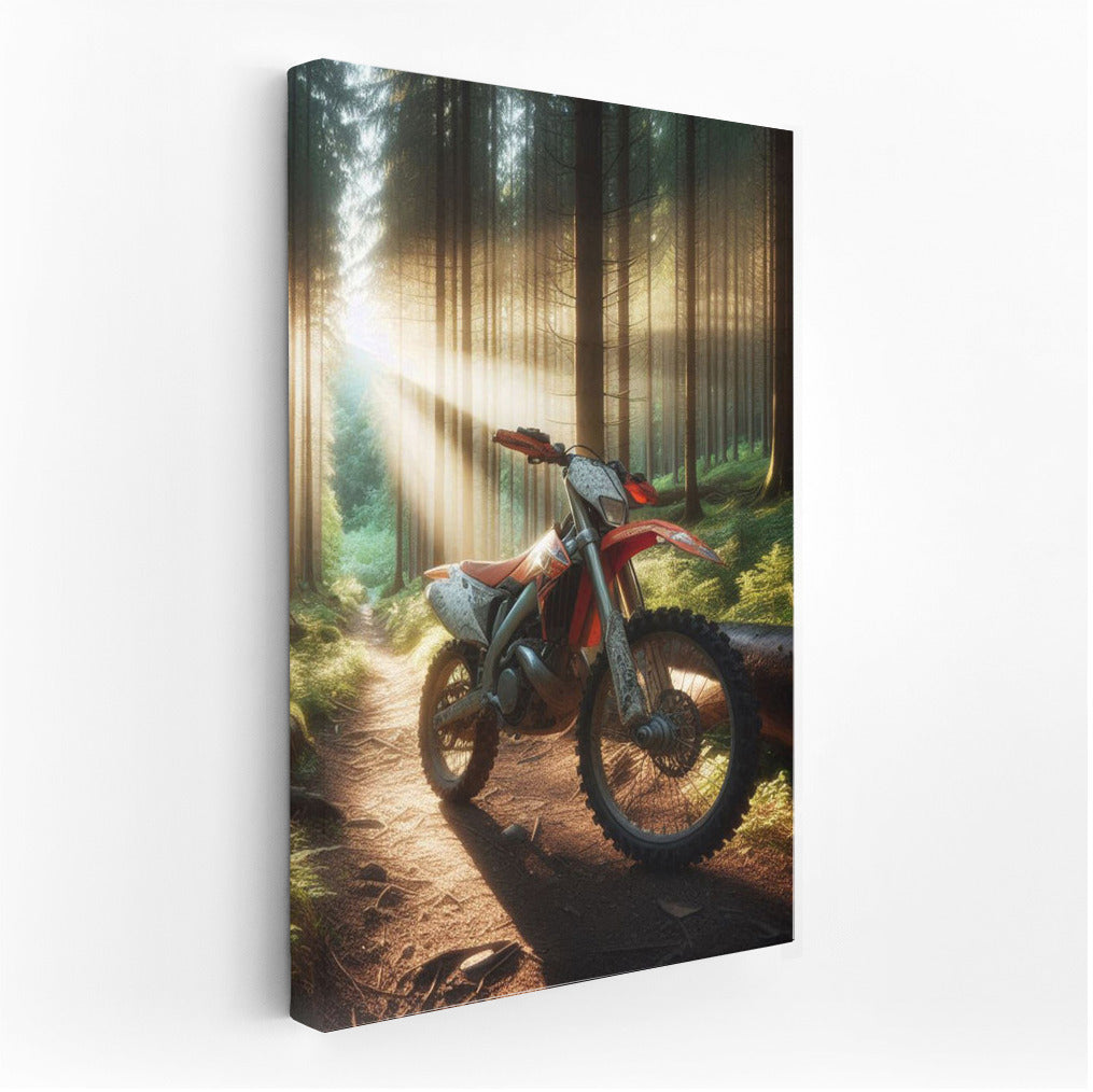 Motocross Bike on the Forest Trail: Freedom in the Sun