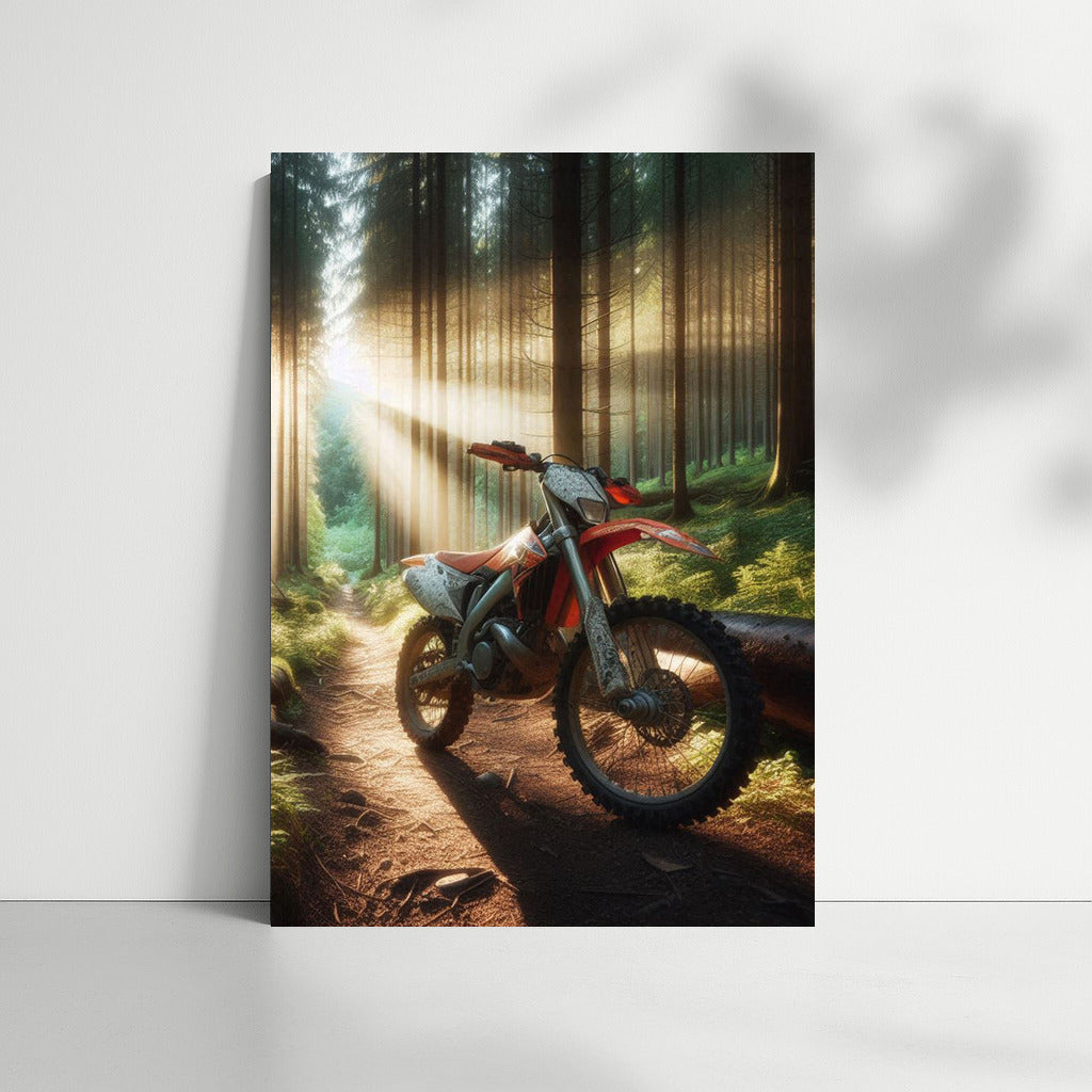 Motocross Bike on the Forest Trail: Freedom in the Sun