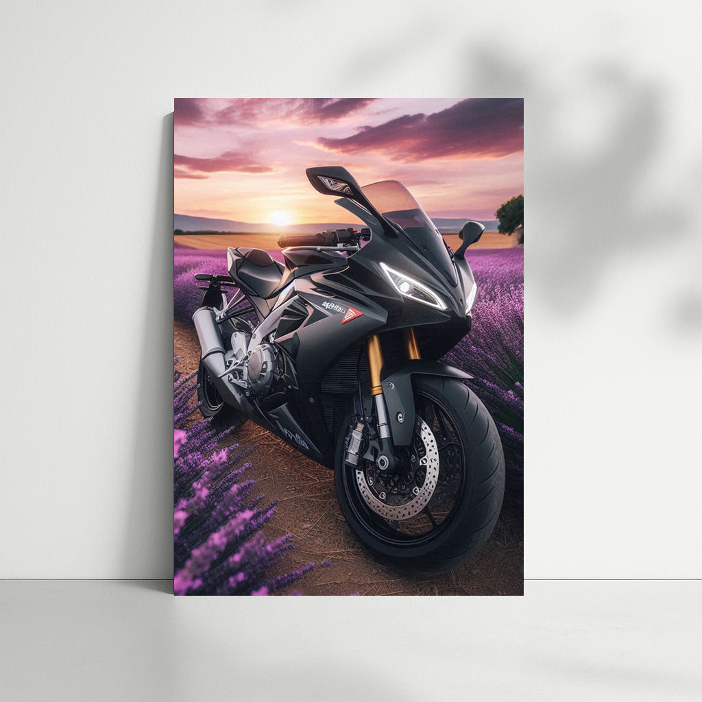 Aprilia Speed Among Lavender Fields