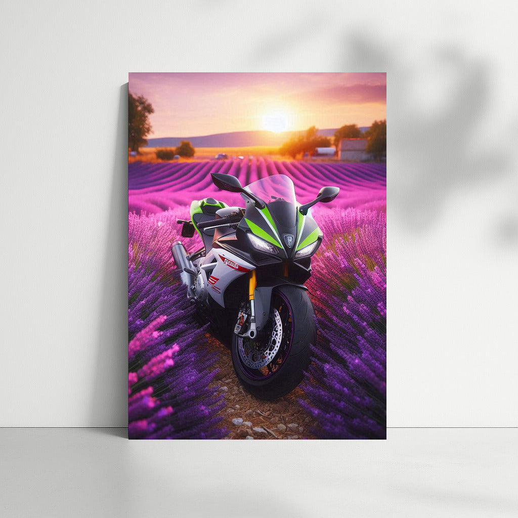 Aprilia in Lavender Fields: Sunset Symphony of Speed