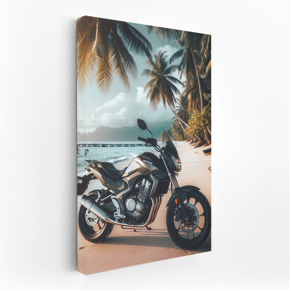 Speedy Honda on a Tropical Beach: Dynamics and Style