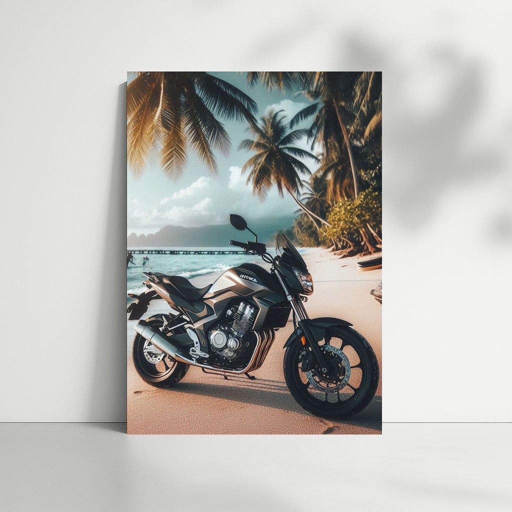 Speedy Honda on a Tropical Beach: Dynamics and Style