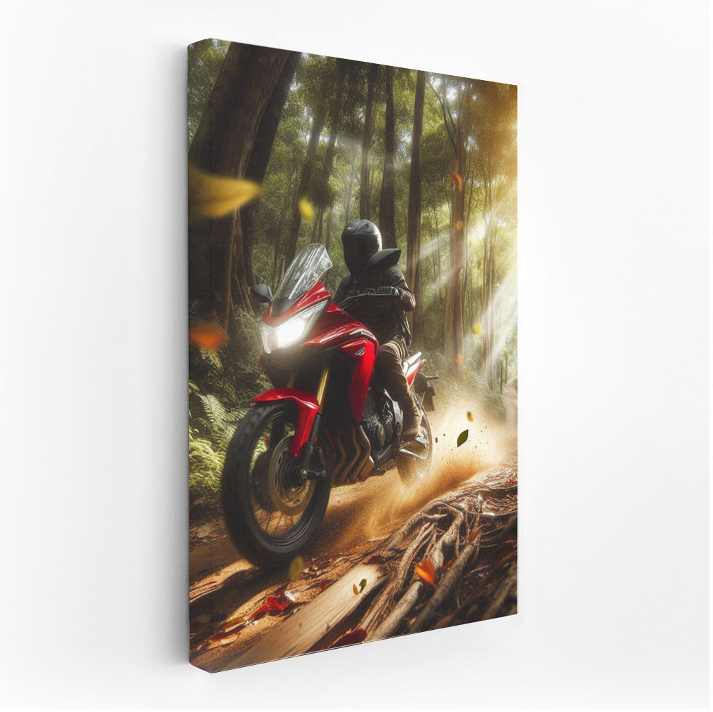 Honda on the Forest Trail: Speed and Freedom