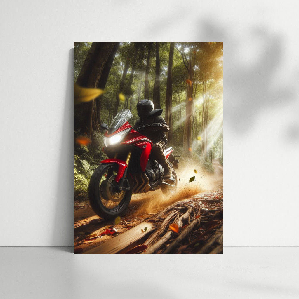 Honda on the Forest Trail: Speed and Freedom