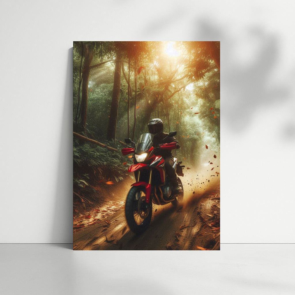 Freedom on Wheels: Honda on a Forest Trail