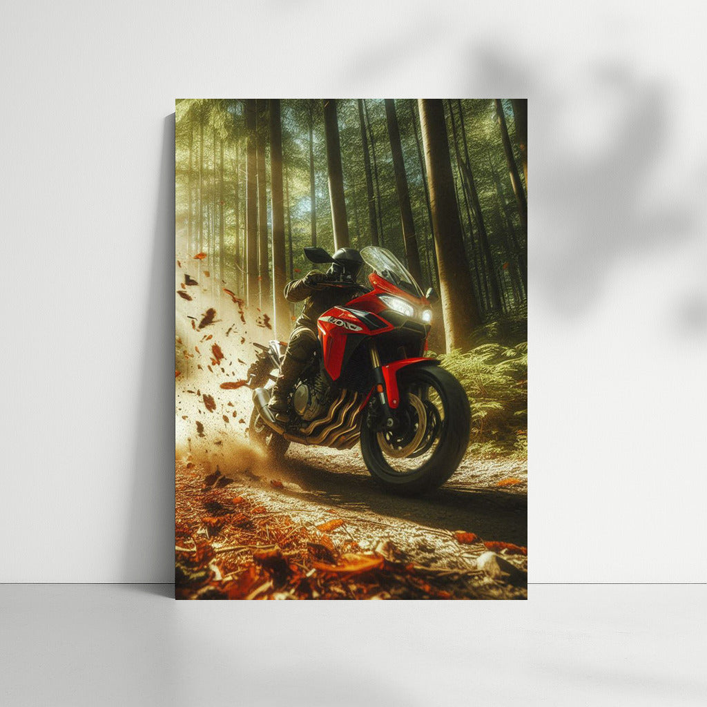 Honda Speed: Adventure on the Forest Trail