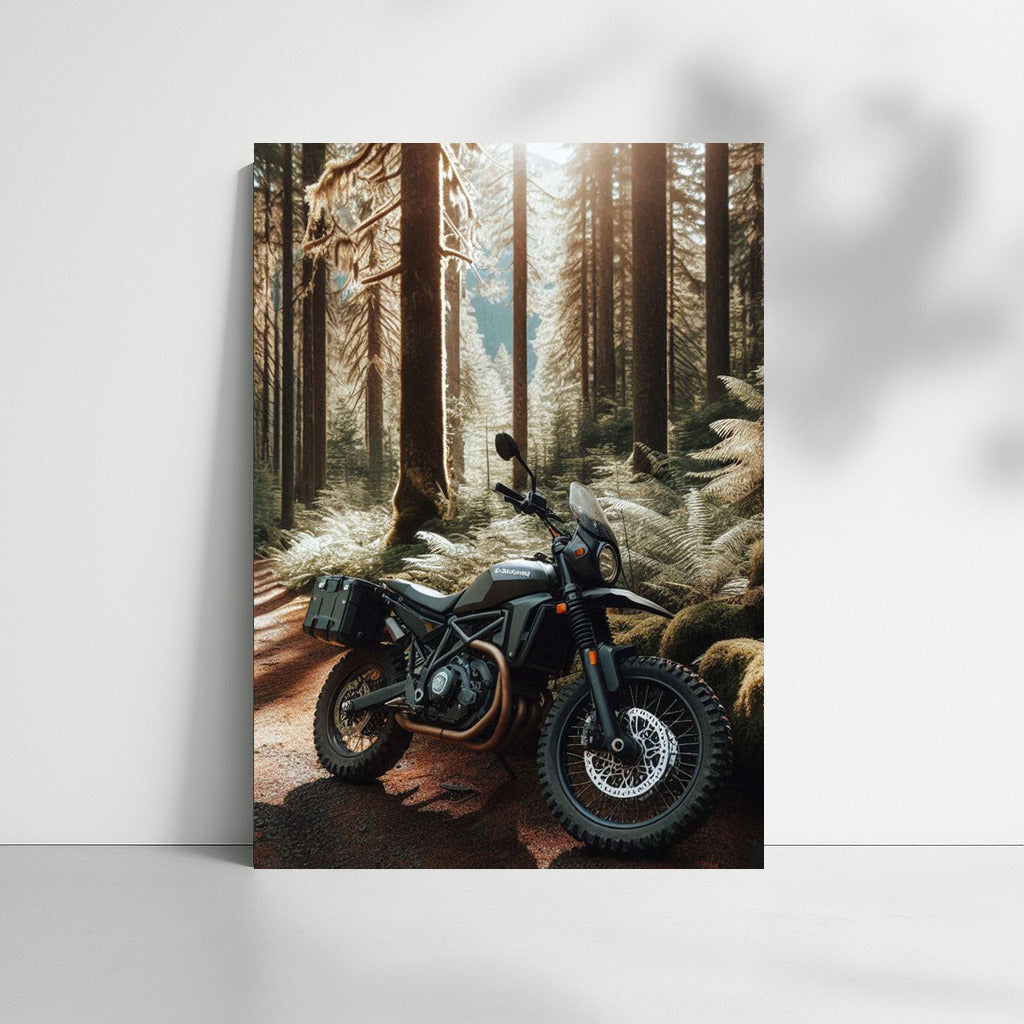 Freedom on Wheels: Husqvarna in the Wilderness