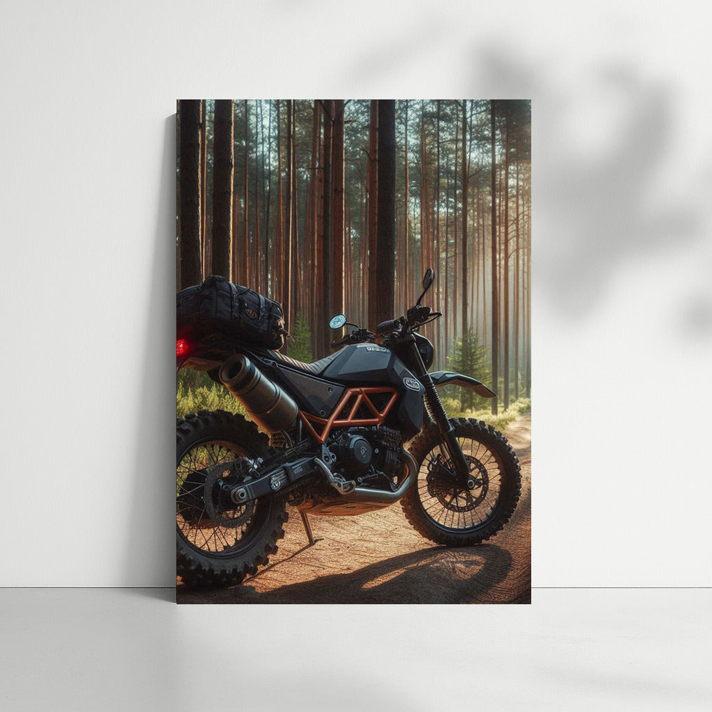 Freedom on the Trail: Husqvarna Motorcycle in the Forest