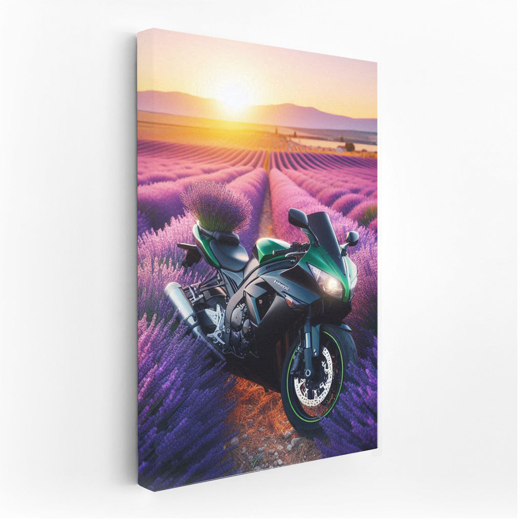 Kawasaki in Lavender Fields: Speed and Nature