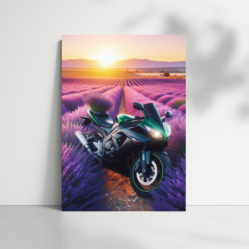 Kawasaki in Lavender Fields: Speed and Nature