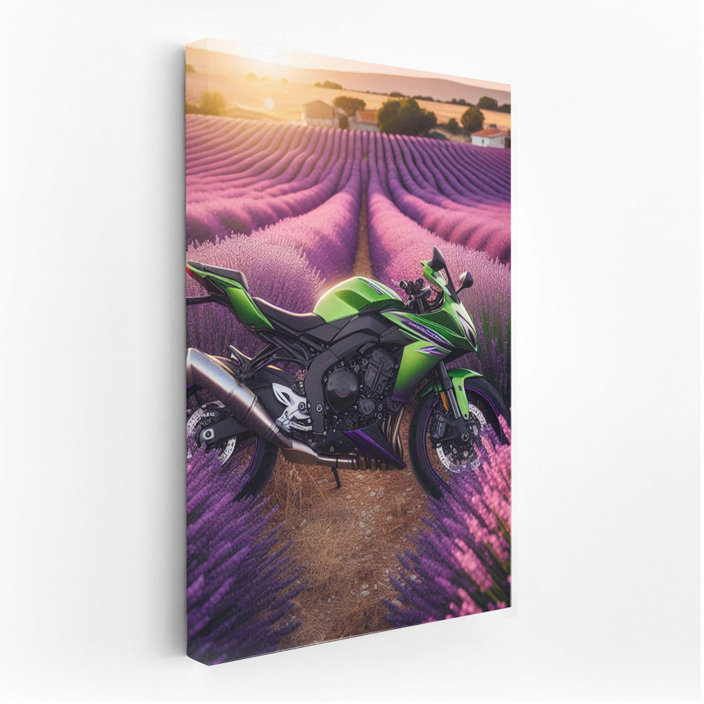 Kawasaki in Lavender Fields: Power and Color in the Interior