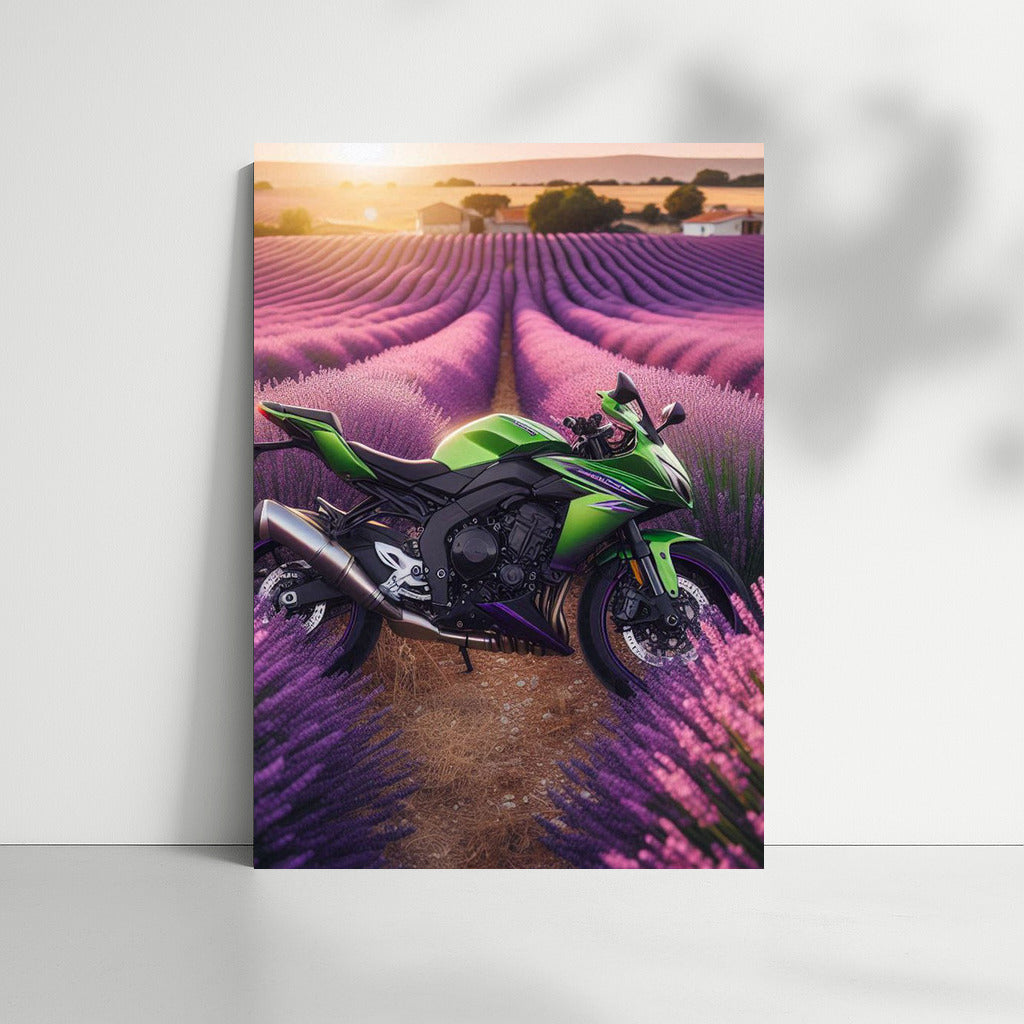 Kawasaki in Lavender Fields: Power and Color in the Interior