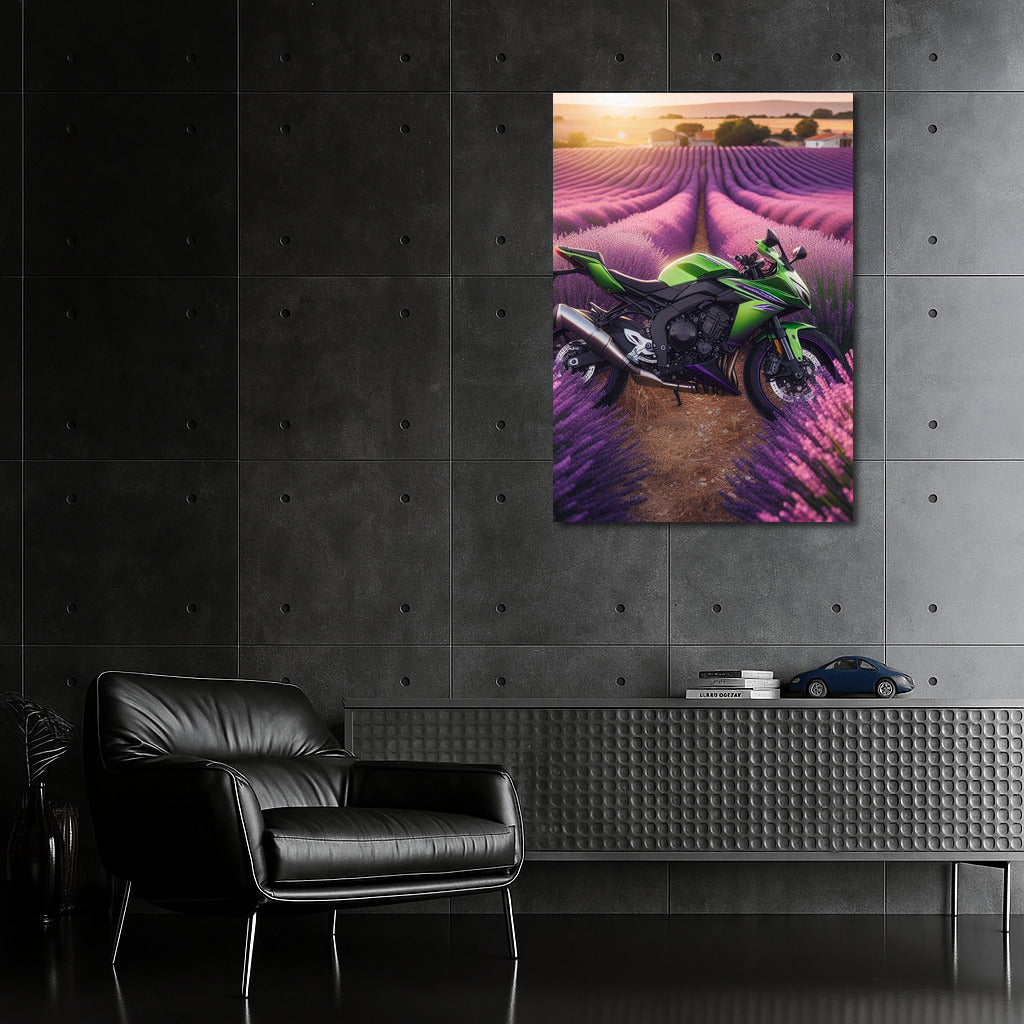 Kawasaki in Lavender Fields: Power and Color in the Interior