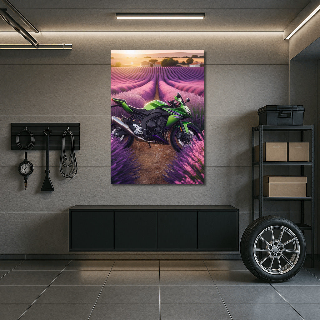 Kawasaki in Lavender Fields: Power and Color in the Interior