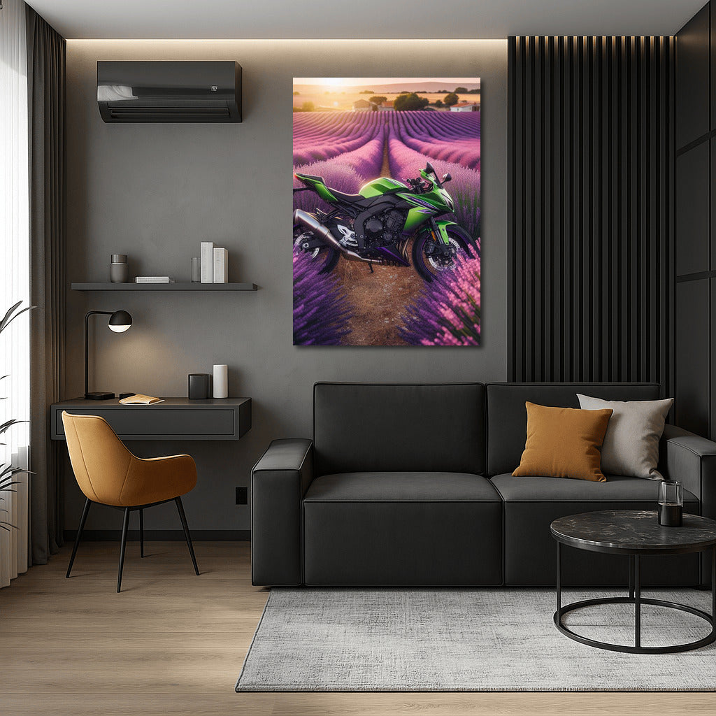 Kawasaki in Lavender Fields: Power and Color in the Interior