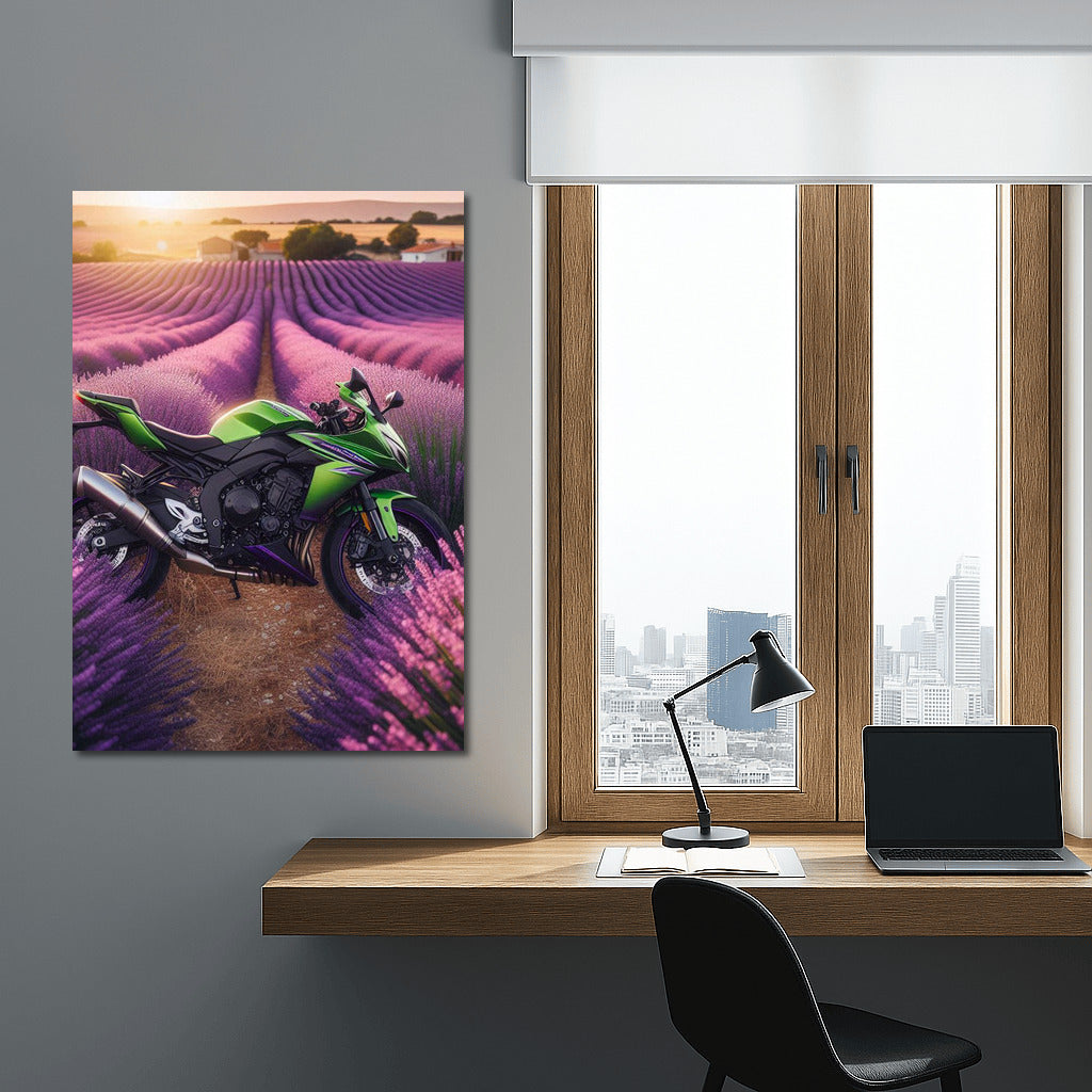 Kawasaki in Lavender Fields: Power and Color in the Interior