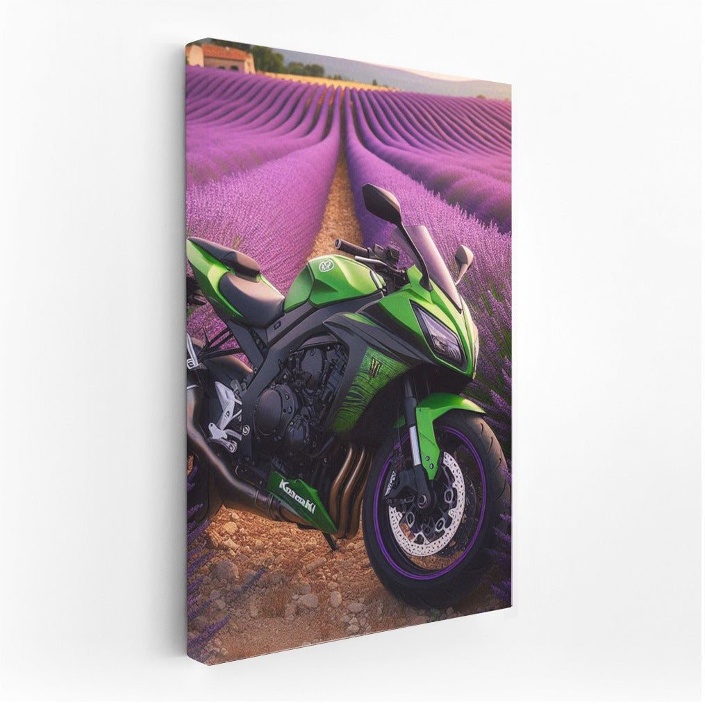 Green Kawasaki in Lavender Fields: An Explosion of Color and Speed