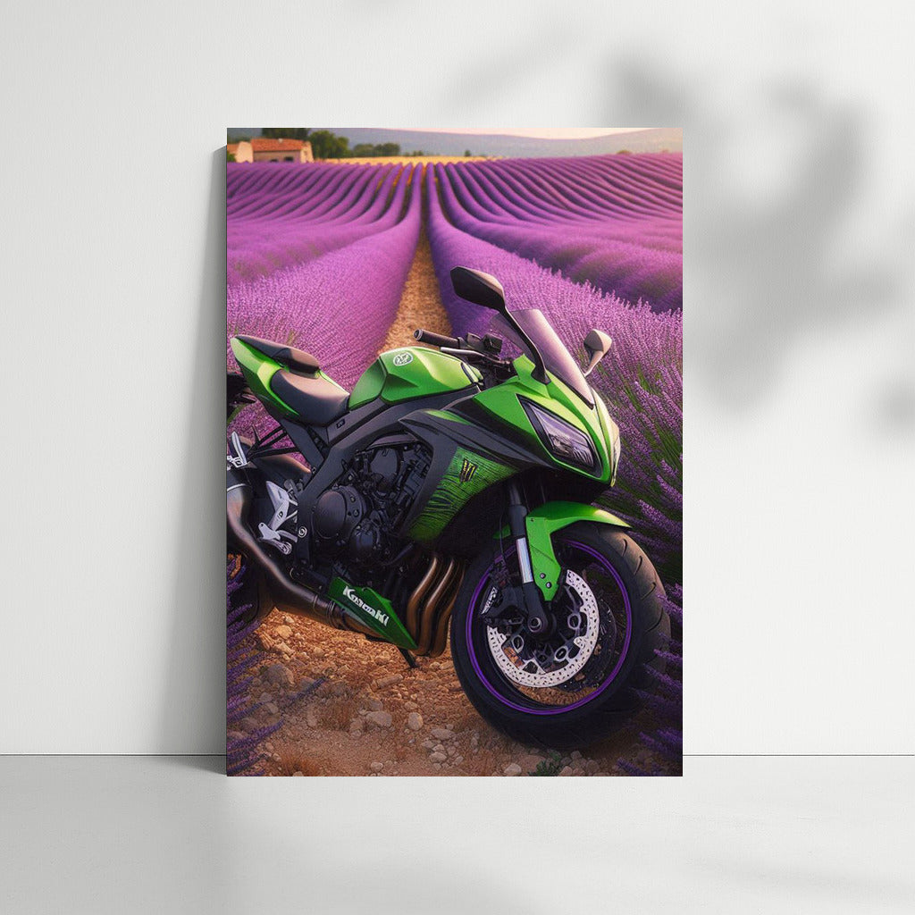 Green Kawasaki in Lavender Fields: An Explosion of Color and Speed
