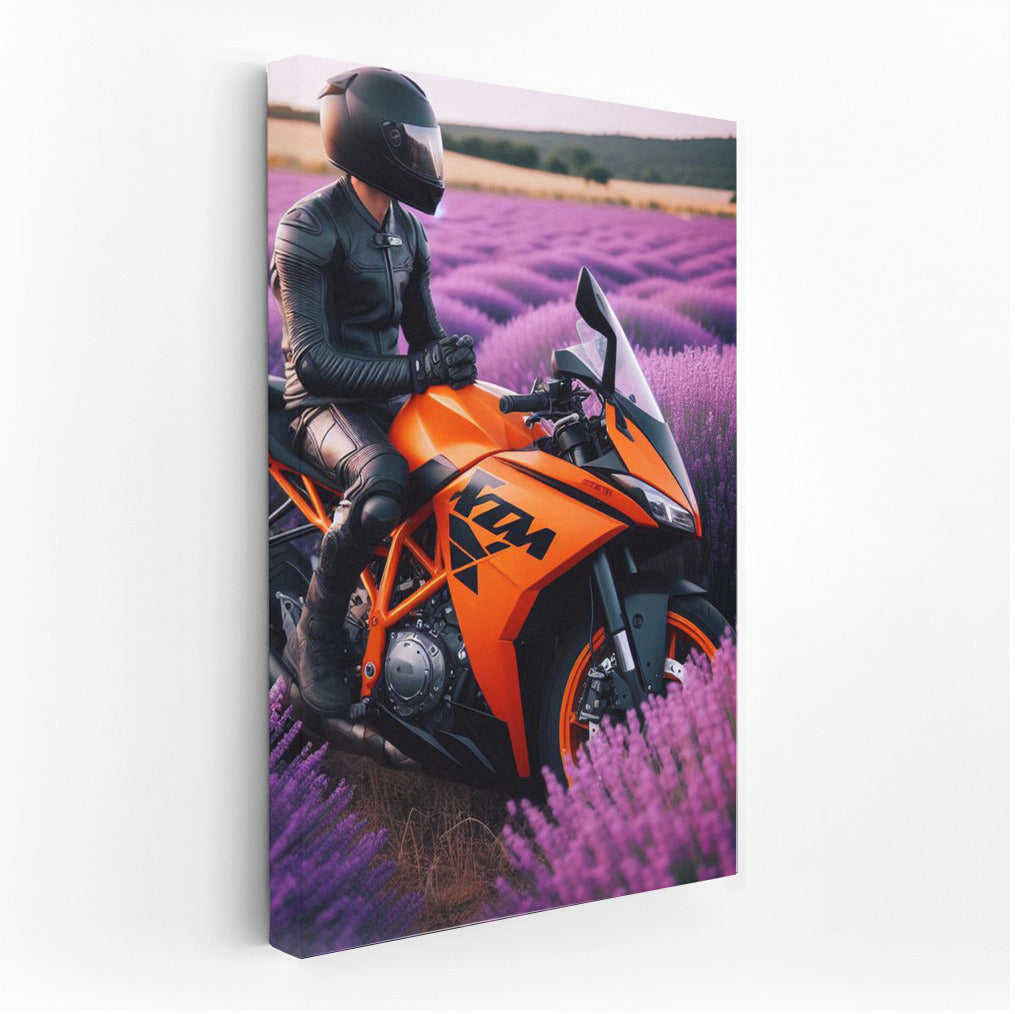 KTM in Lavender Fields: Dynamics and Tranquility in the Interior