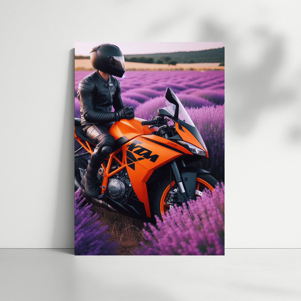 KTM in Lavender Fields: Dynamics and Tranquility in the Interior