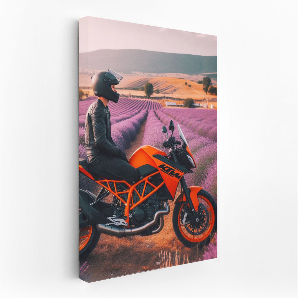 Orange KTM: Freedom in the Lavender Fields