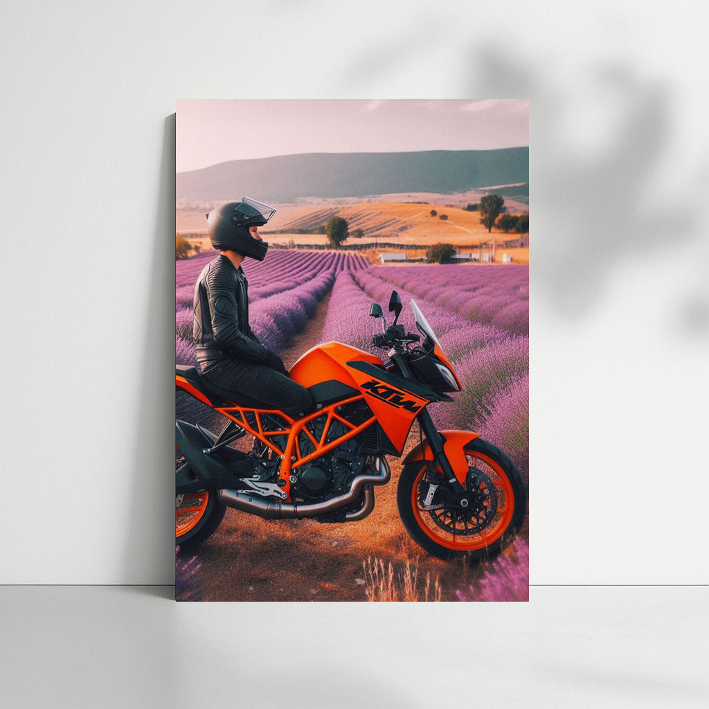 Orange KTM: Freedom in the Lavender Fields