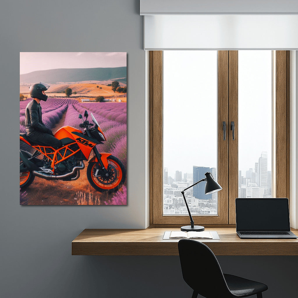 Orange KTM: Freedom in the Lavender Fields