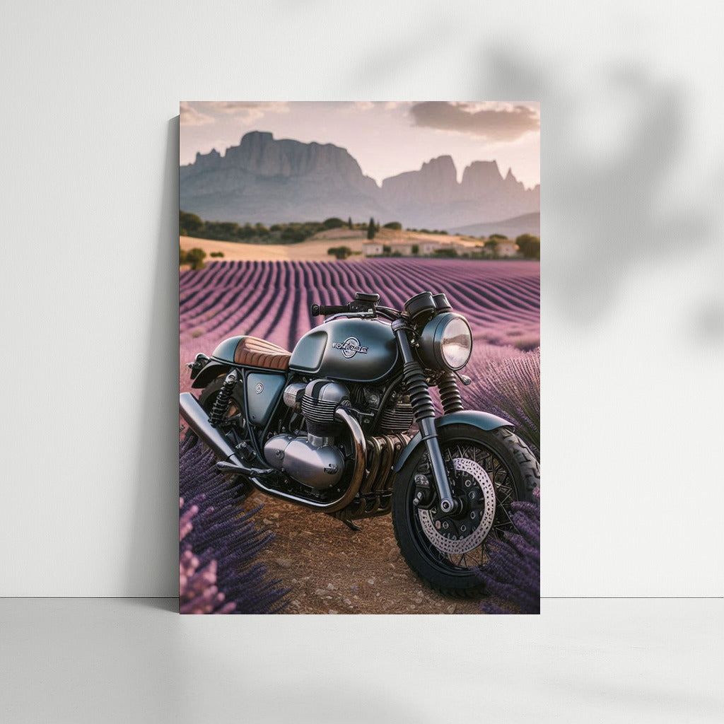 Moto Guzzi in Lavender Fields: Fusion of Power and Nature