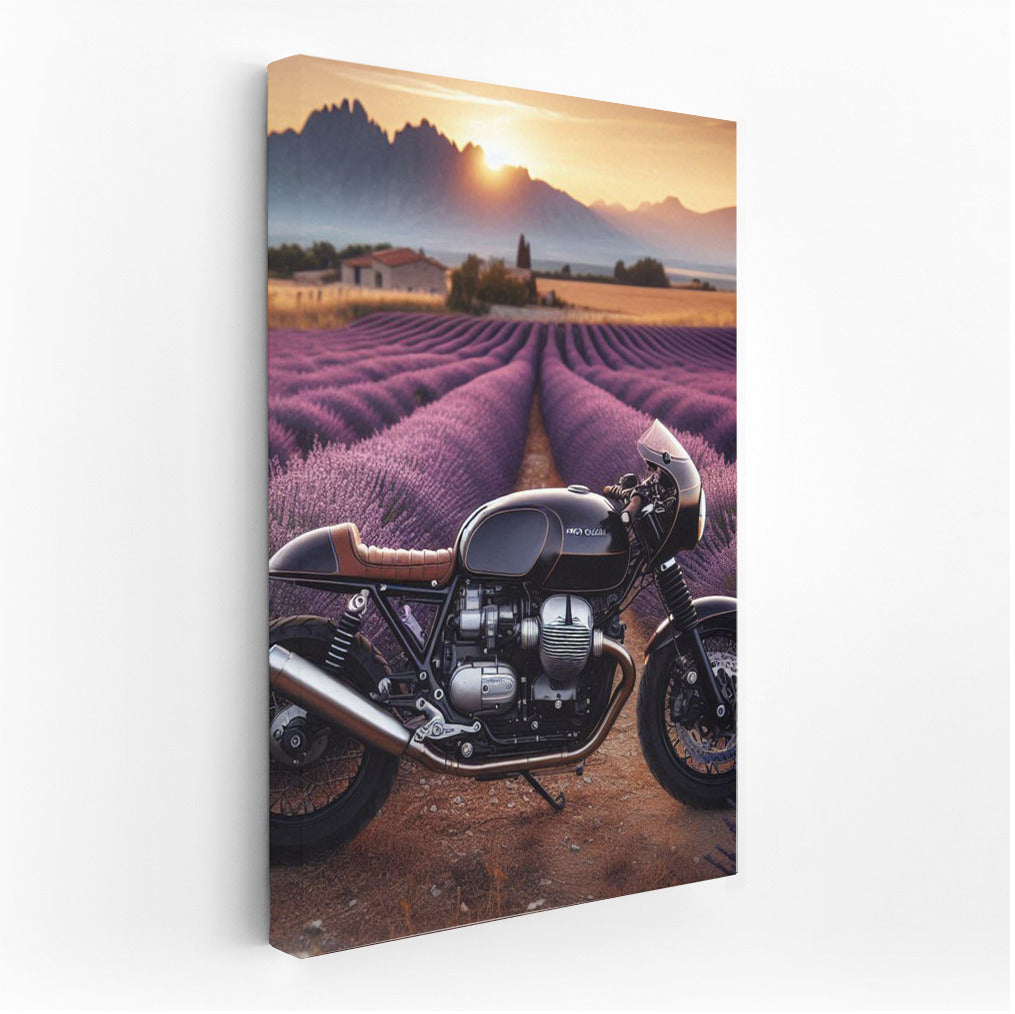 Speed and Lavender: Moto Guzzi in the Flowering Fields