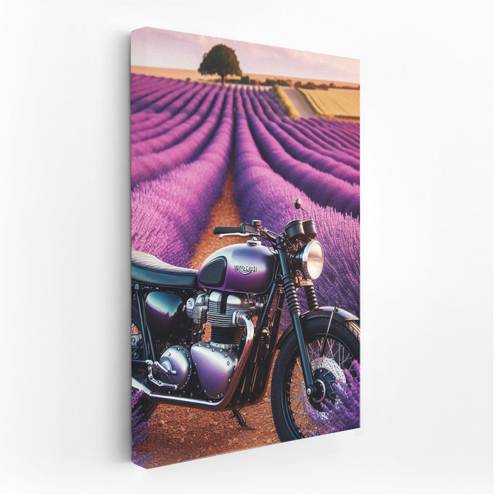Triumph on Lavender Fields: Motorcycle in the Field of Dreams