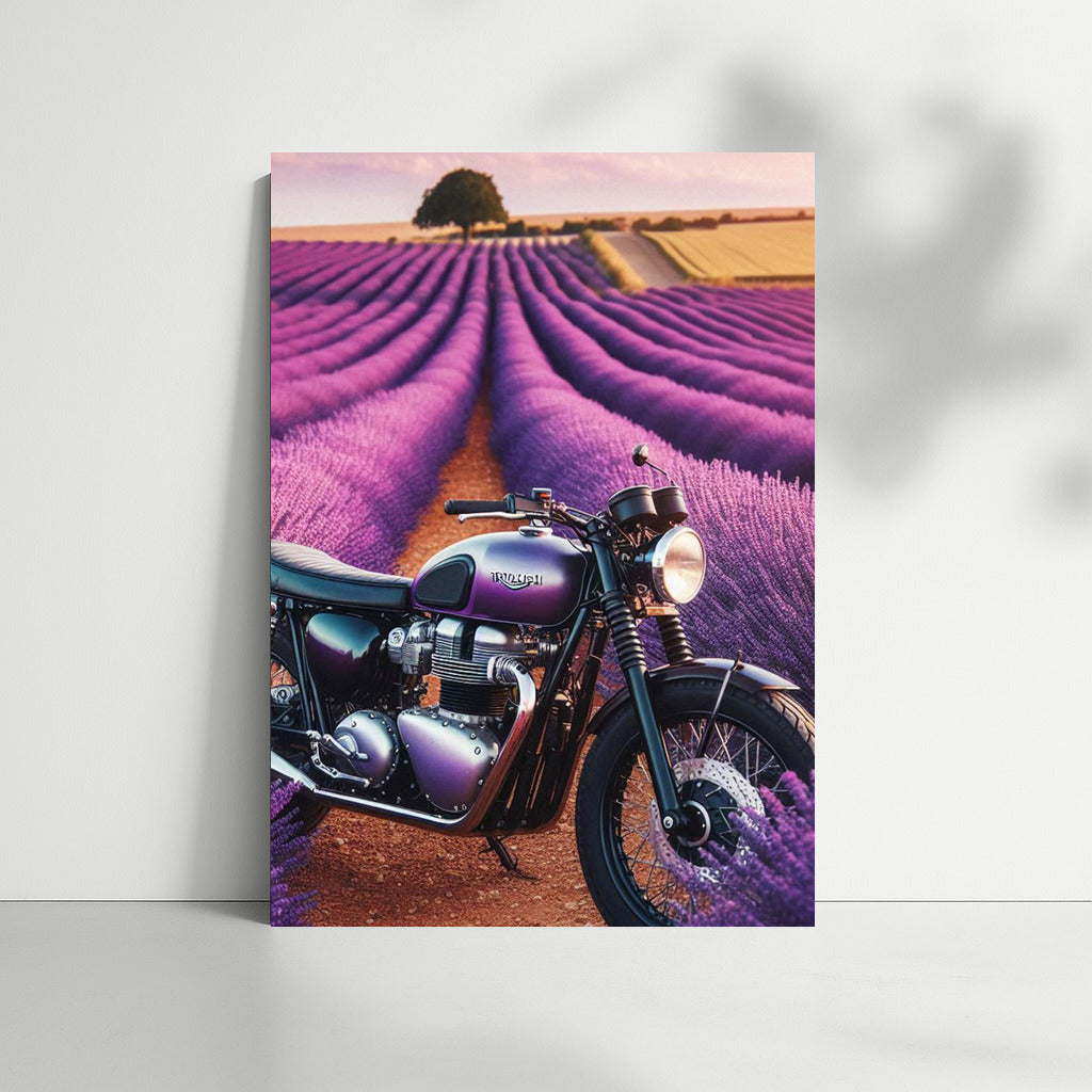 Triumph on Lavender Fields: Motorcycle in the Field of Dreams