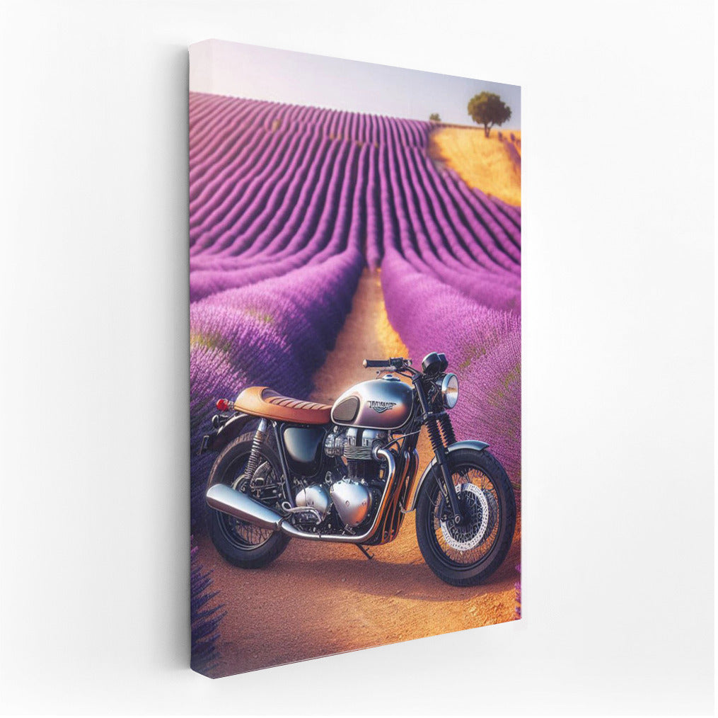 Triumph in Lavender Fields: Freedom and Nature