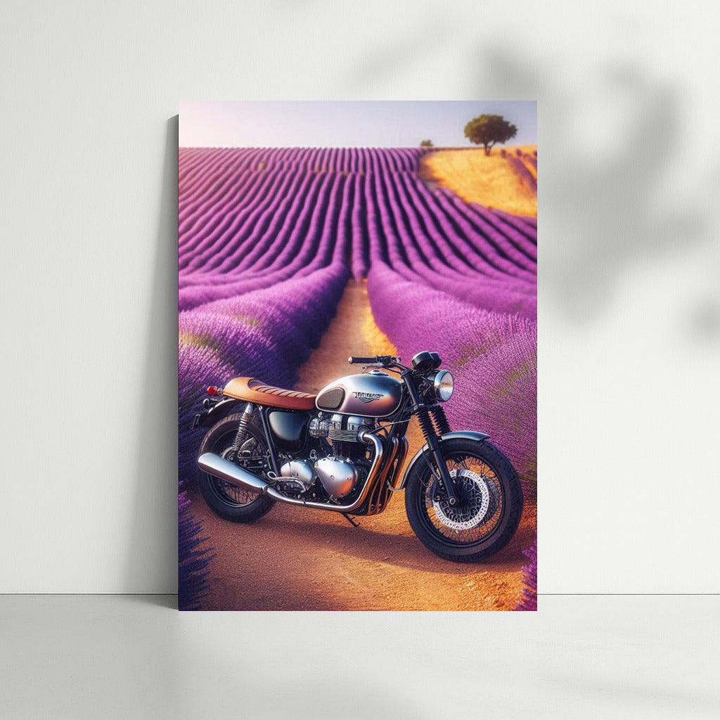 Triumph in Lavender Fields: Freedom and Nature