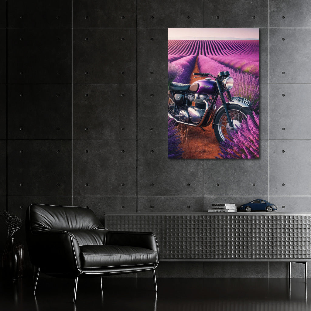 Triumph in Lavender Fields: Motorcycle and Nature in Harmony