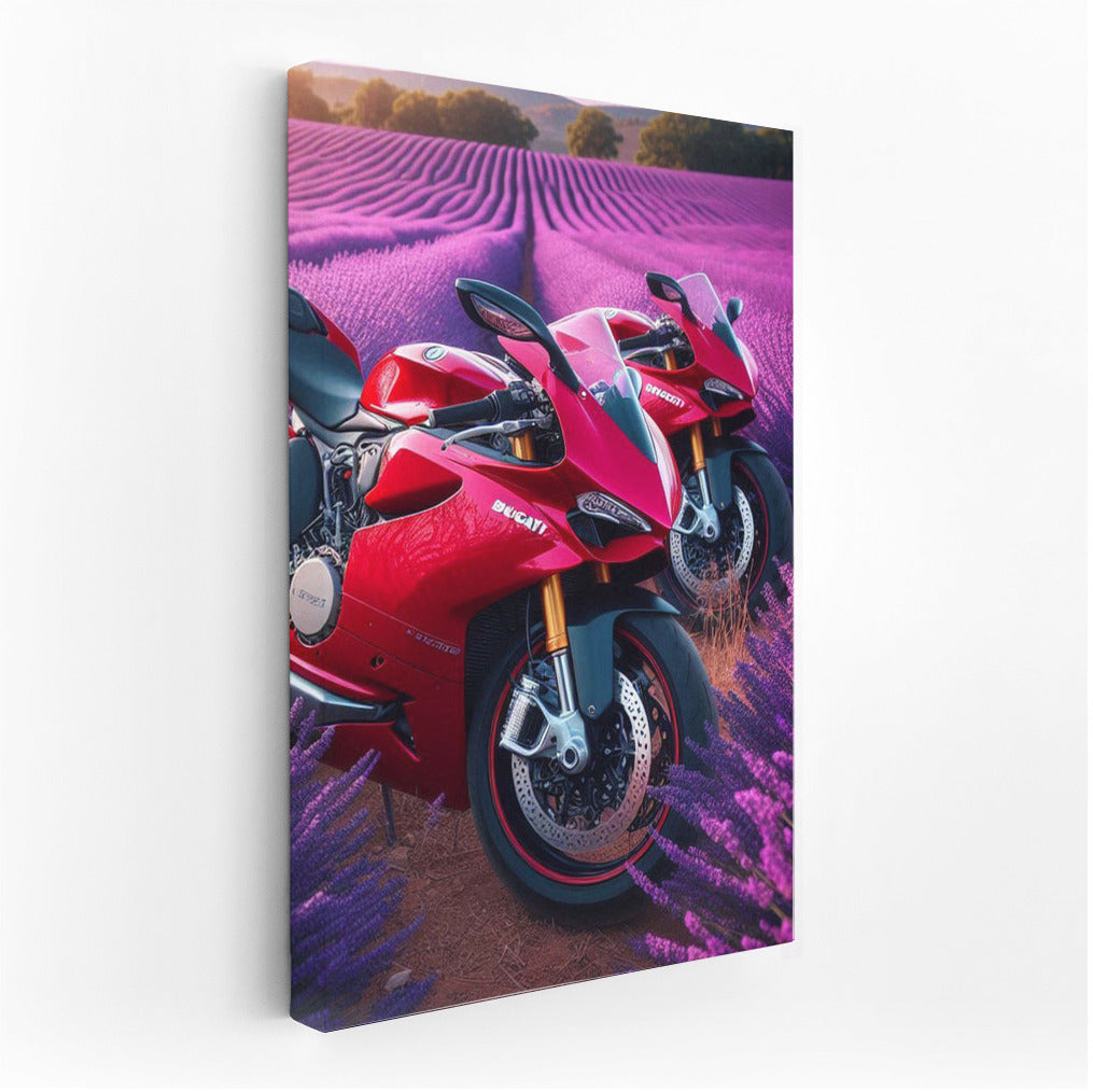 Ducati Speed in Lavender Fields: A Biker's Dream