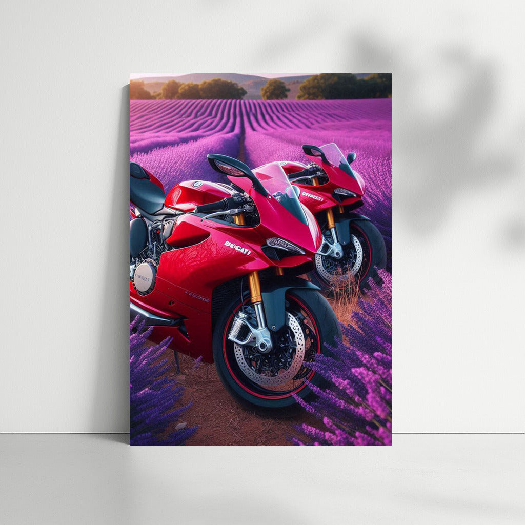 Ducati Speed in Lavender Fields: A Biker's Dream